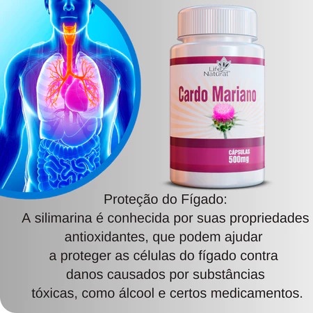 SILIMARINA 120 CÁPSULAS 500mg | CARDO MARIANO | O MAIS VENDIDO DO MERCADO