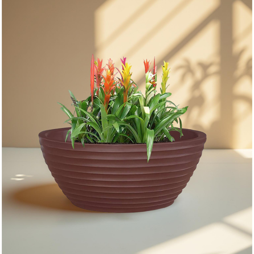 Vaso De Planta Bacia Cuia 30x12 Cm P/ Flores Naturais e Artificiais em Resina Plastico Polietileno