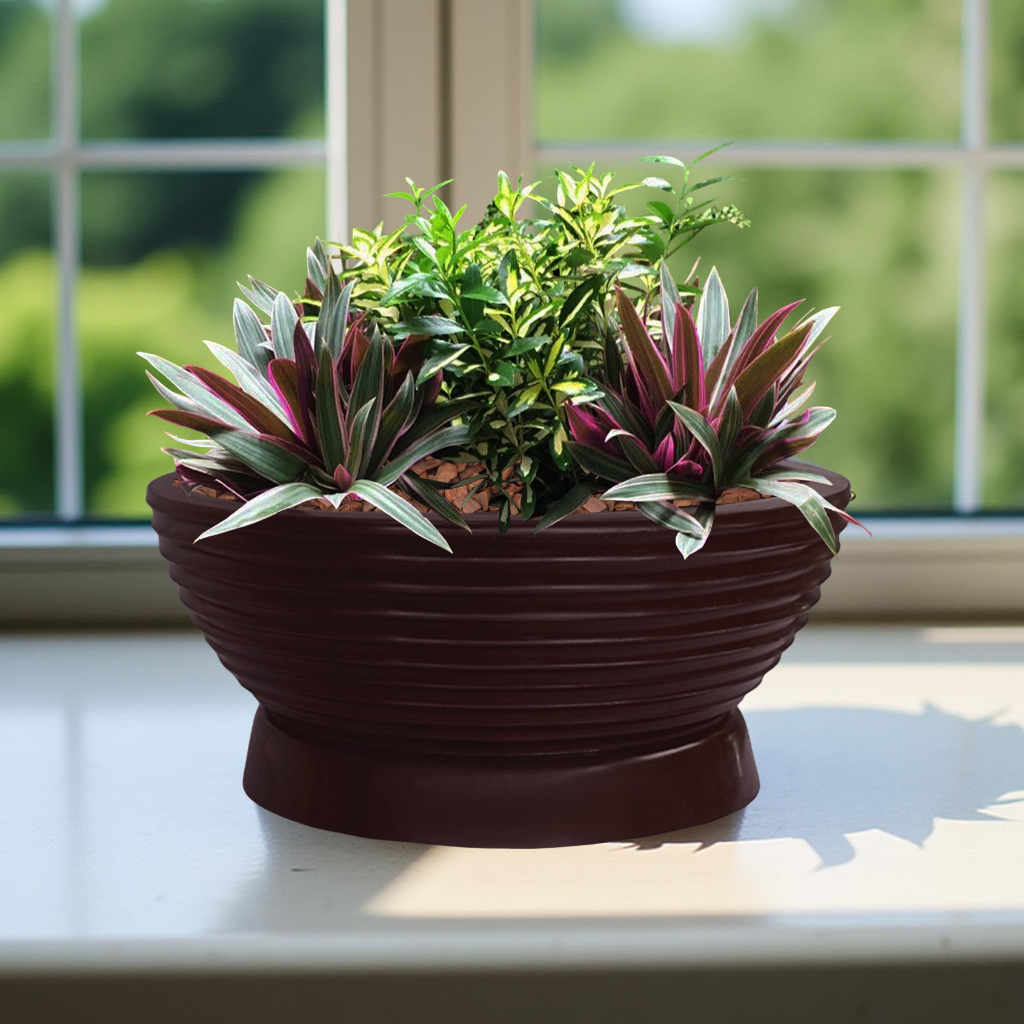 Vaso de Planta Bacia Cuia 40x14 cm + Prato Floreira Redondo Decorativo em Polietileno Plástico