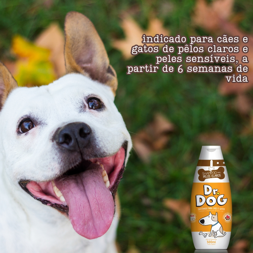 Shampoo Clareador Pet Cachorro Gato Pêlos Claros Branqueador, hipoalergenico Shih Tzu Lágrima Ácida