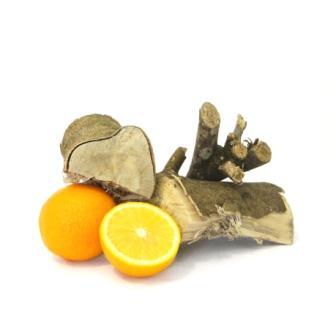 Lenha frutífera churrasco defumação BBQ, 20 kg Laranjeira