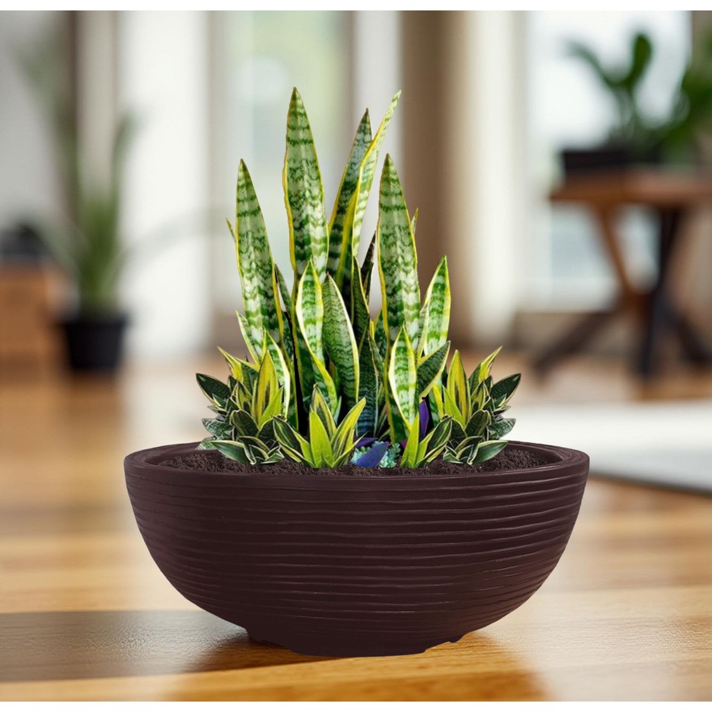 Vaso de Planta Bacia Cuia 50x18 Cm Decorativo Redondo Resistente em Polietileno Plastico