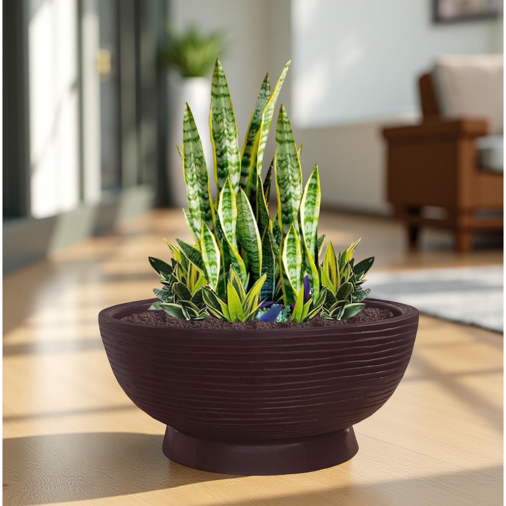 Vaso de Planta Bacia Cuia 50x18 cm + Prato Decorativo Redondo Resistente em Polietileno Plastico
