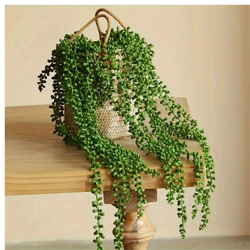2 Plantas 2 Vinhas Suculentas Artificiais Verdes e Realistas -Folhagem pendentes para Jardim Externo decoração em Oferta na Shopee