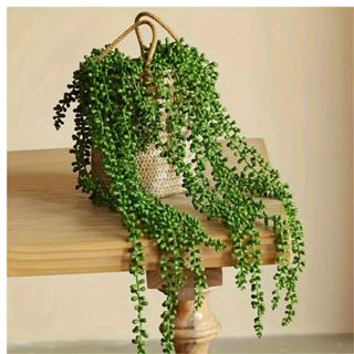 2 Plantas 2 Vinhas Suculentas Artificiais Verdes e Realistas -Folhagem pendentes para Jardim Externo decoração em Oferta na Shopee
