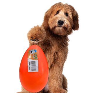 Ovo Maluco Brinquedo interativo Bola Infinita Para Cães De Médio e Grande Porte em Oferta na Shopee