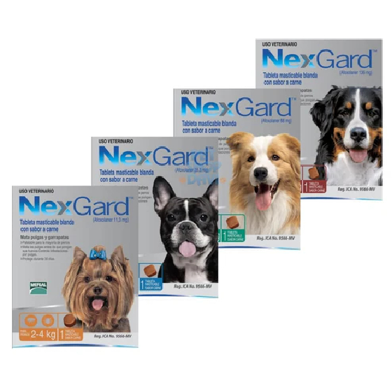 Kit 3 Nexgard todos os tamanhos