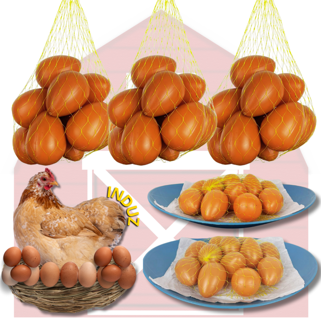 Ovo Caipira Falso Brincadeira Galinheiro de Plastico Indez Galinha Enfeite