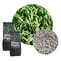 Brachiaria Brizantha: Onde Comprar | BuscaProdutos