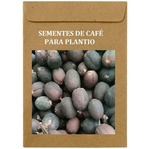 40 Sementes Para Cultivo De Mudas Do Café Orgânico Arabica.  Sementes Do Real Café Arábica Para Plantar Em Vaso!