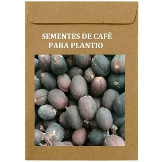 40 Sementes Para Cultivo De Mudas Do Café Orgânico Arabica.  Sementes Do Real Café Arábica Para Plantar Em Vaso!