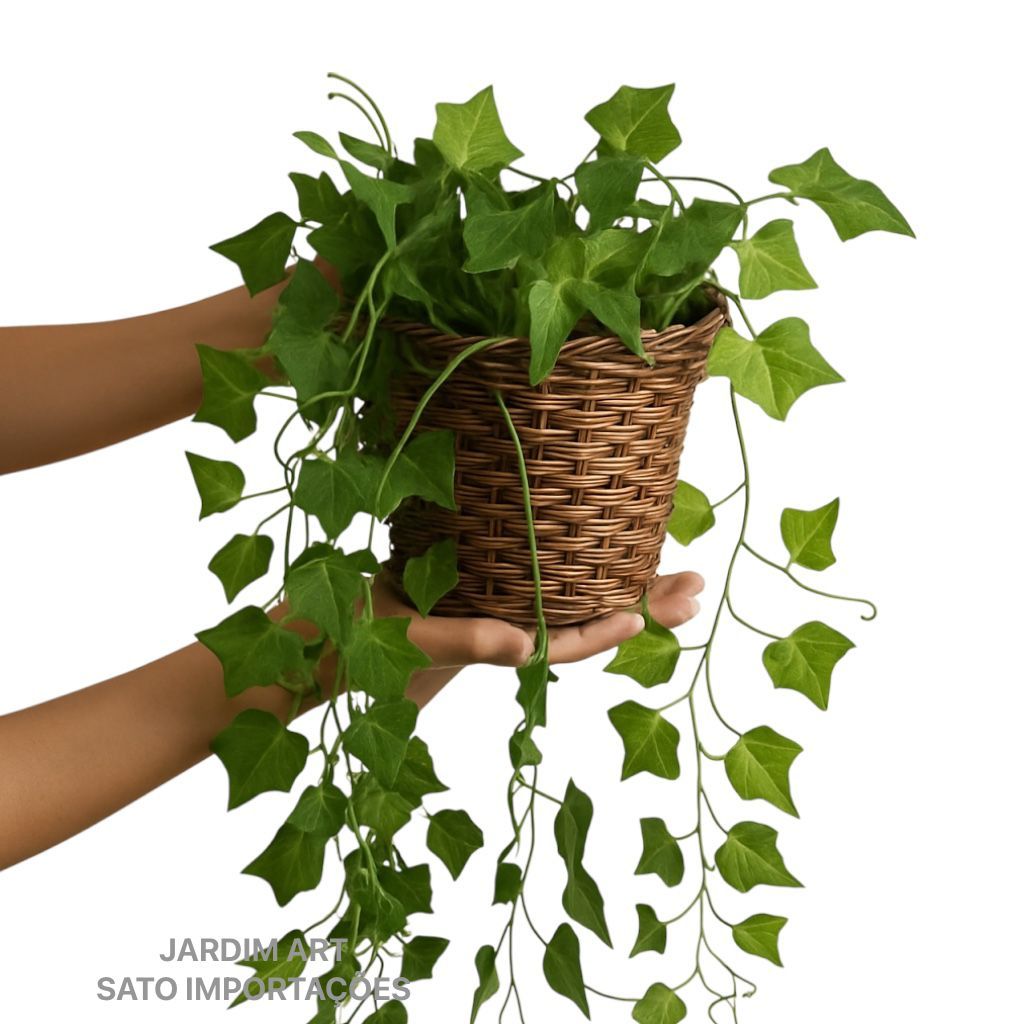 Kit 1 Arranjo Planta Decorativa + Vaso Trançado Marrom 3 Pendentes Artificial Folhas De Hera PT11
