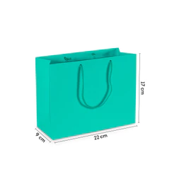 Sacola Papel P Pequena Tiffany 22x17x9 cm 20 Unidades