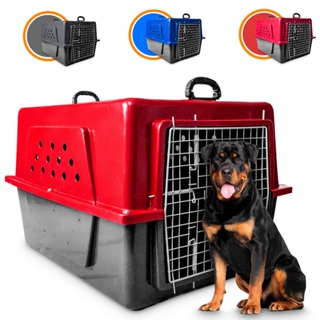 Caixa de Transporte Cachorro N6 Tamanho Grande Para Viagem Padrão IATA Avião em Oferta na Shopee