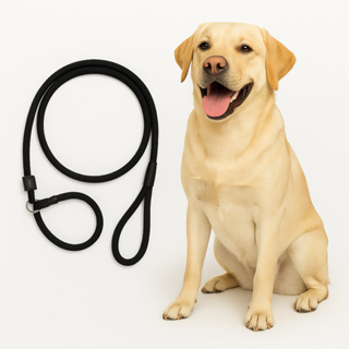 Guia Unificada 2m para Adestramento Corda Resistente Anti Puxão para Cães Pequenos, médios e Grandes em Oferta na Shopee