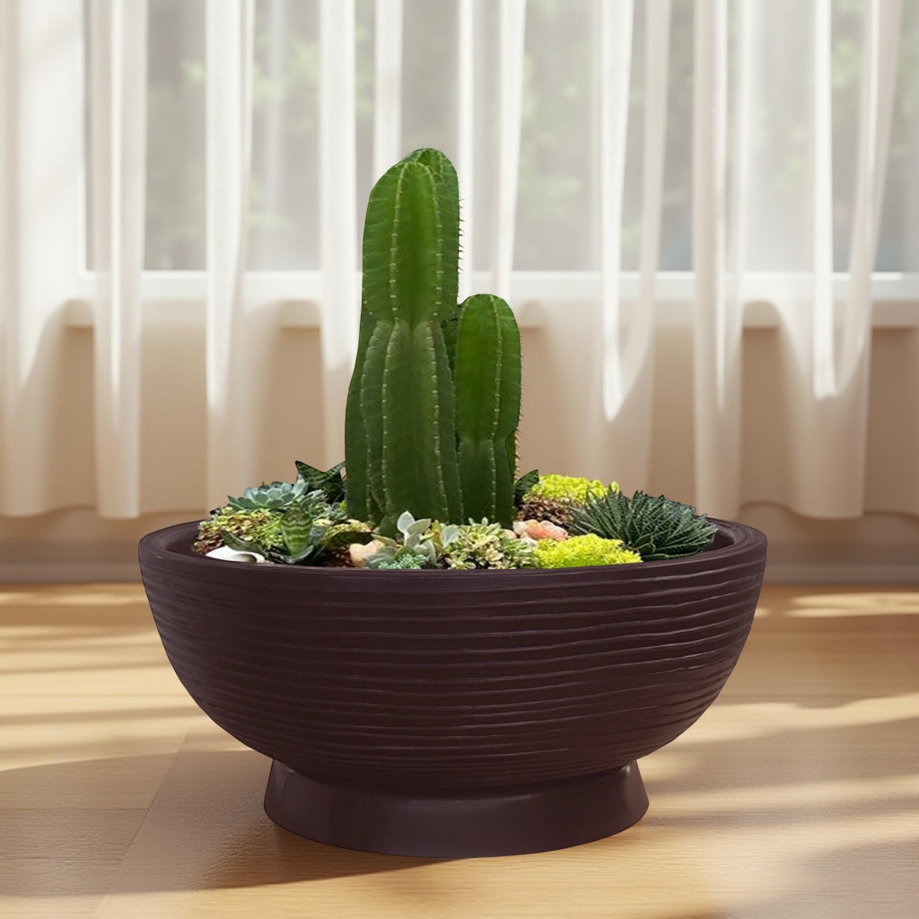 Vaso de Planta Bacia Cuia 60x20 Cm + Prato Decorativo Redondo Floreira em Polietileno Plastico