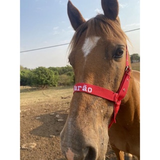 cabresto para cavalo personalizado com fita de polipropileno 30 mm entrega imediata com nome de sua escolha em Oferta na Shopee