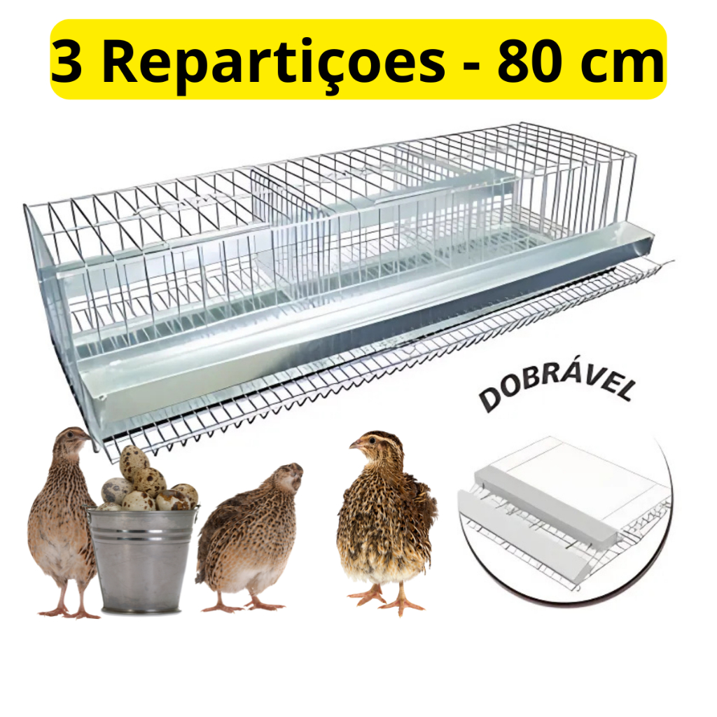 Gaiola Poedeira grande Para Codorna Zincada Codorneira Com Divisão criadeira ovos agua comida em Oferta na Shopee