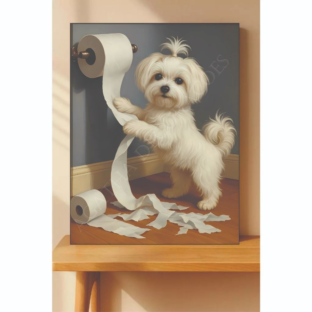 Fotos de Cachorro Maltes: Onde Comprar | BuscaProdutos