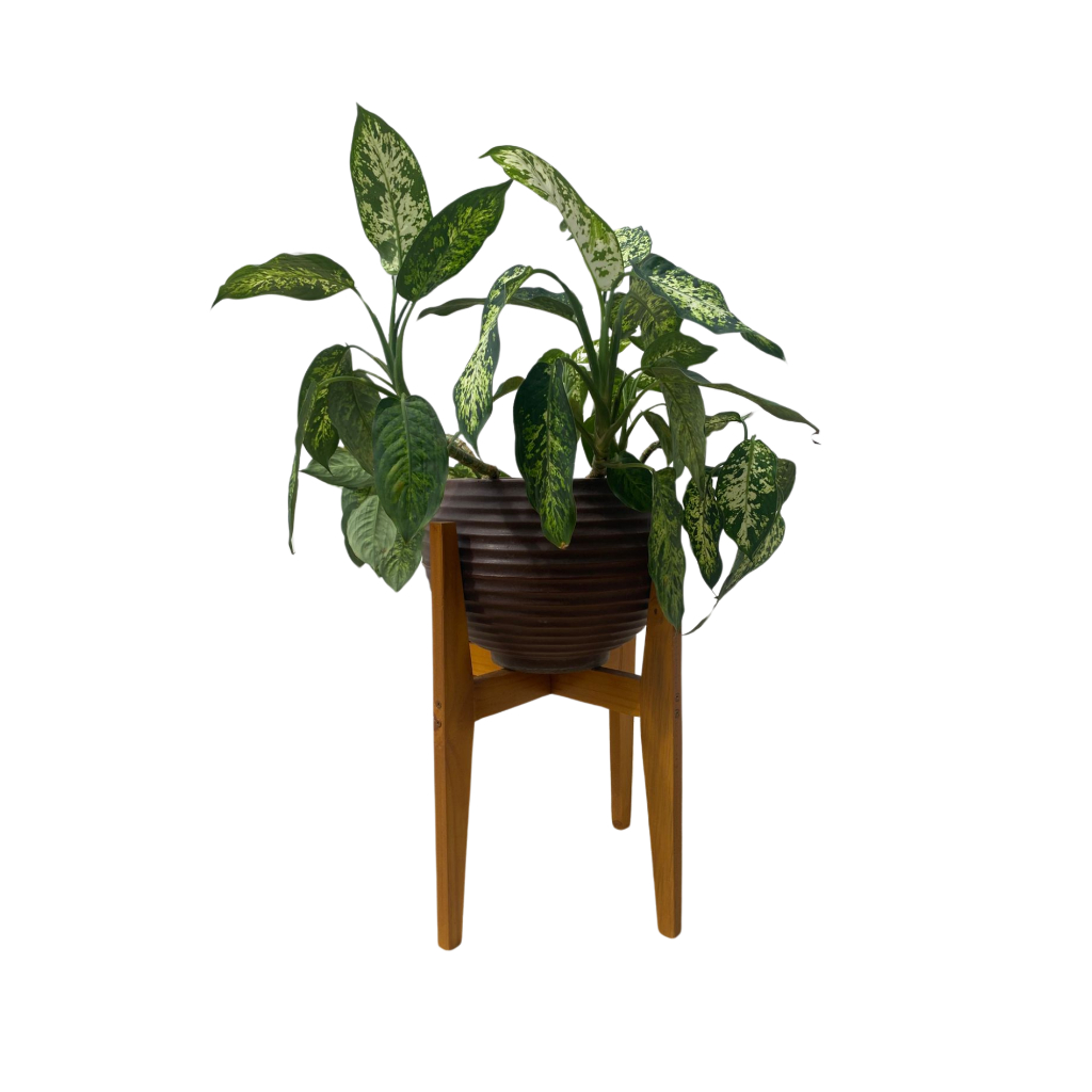Suporte Cachepot P/ Vasos De Plantas - Grande - Duas Posições