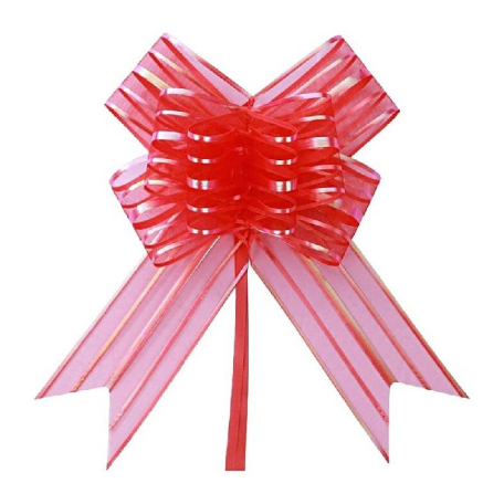 100 LAÇOS FACIL P/ PRESENTE ORGANZA HOLOGRÁFICO VERMELHO 1,8 CM x 39 CM (Ex) em Oferta na Shopee