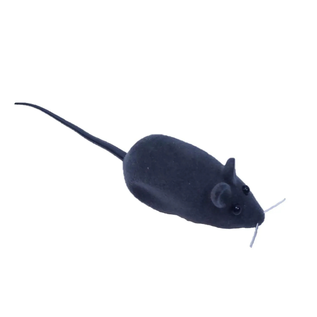 Brinquedo American Pets Ratinho Real com Apito para Gatos Unidade em Oferta na Shopee