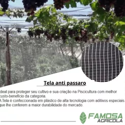 Tela anti pássaro branca com 3,80 metros de largura e diversos comprimentos