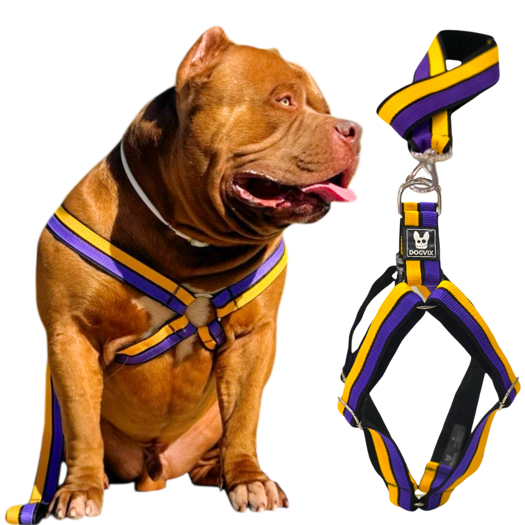 Guia Coleira Peitoral Com Ajustes Reforçado e Confortável Para Cachorro - Brutus Pet
