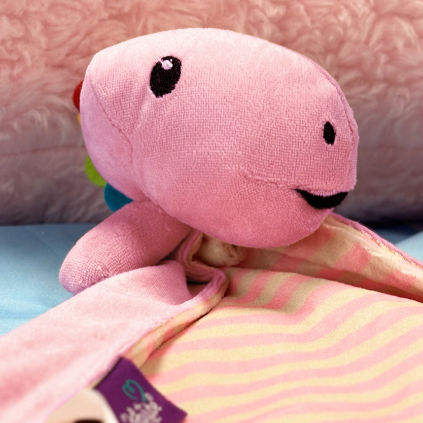 Naninha Rosa para Bebê com Prendedor de Chupeta da Nina - TurmaTube em Oferta na Shopee