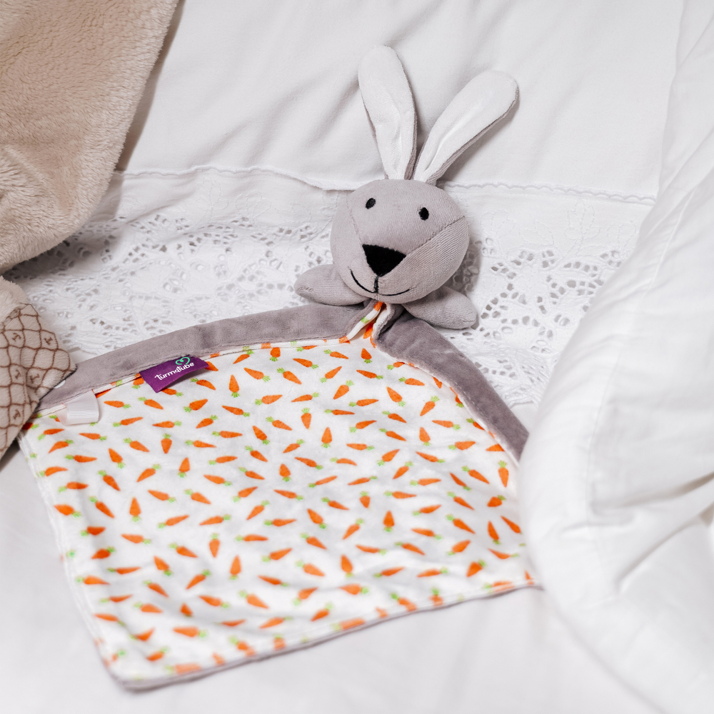 Naninha Cinza para Bebê com Prendedor de Chupeta da Lara a coelhinha da TurmaTube - Viih Tube em Oferta na Shopee