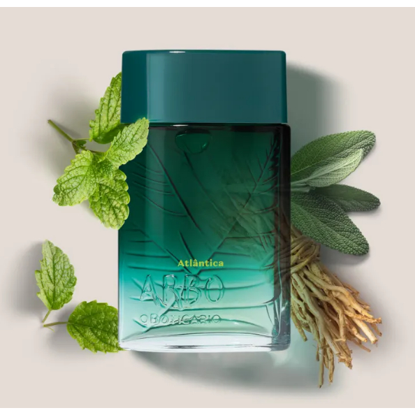 Perfume Arbo Atlântica: Onde Comprar | BuscaProdutos