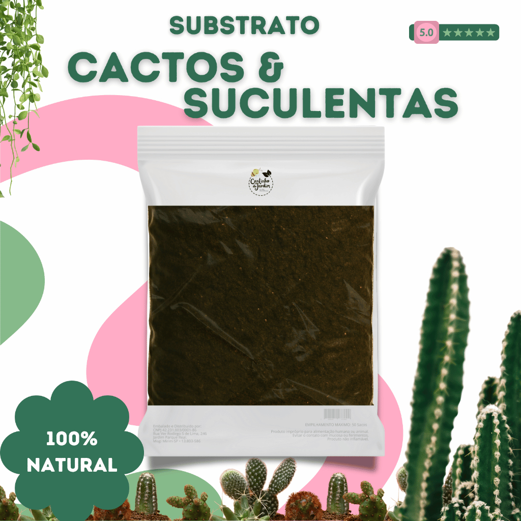 Substrato para Cactos e Suculentas 5Kg - Drenagem, Aeração e Crescimento Saudável das Plantas