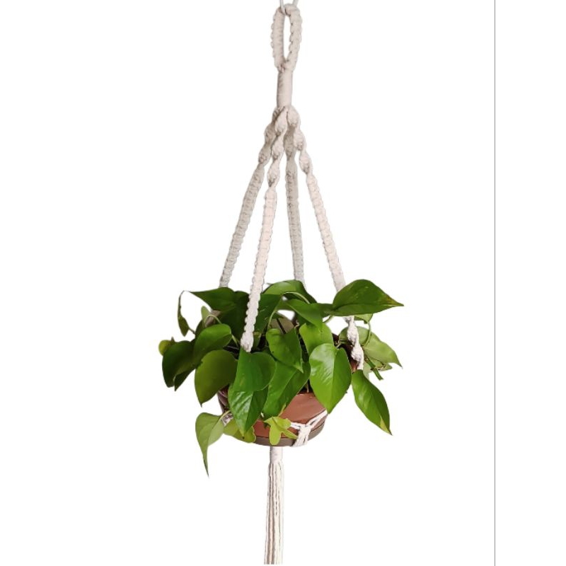 Macrame Hanger Suporte Vaso Plantas Decorativo Floreira