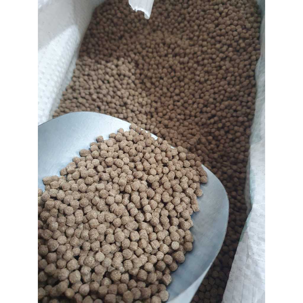 Tilápias Carpas Ração 32% (4 mm) Peixe Ideal Para Carpas Ornamentais Fontes Entrega Rápida Xpress