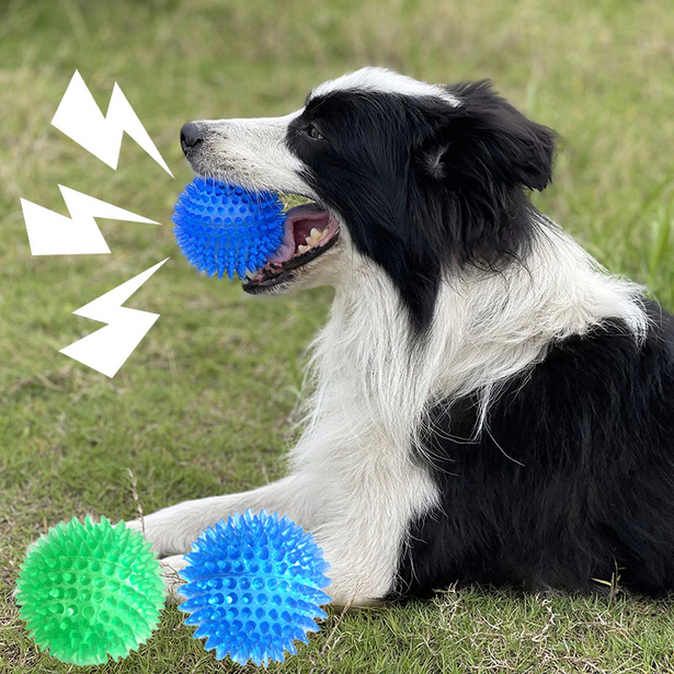 Mordedor Bola Cravo Redonda / Osso com Apito e Led Tam M Resistente À Mordida Limpeza De Dentes TPR em Oferta na Shopee