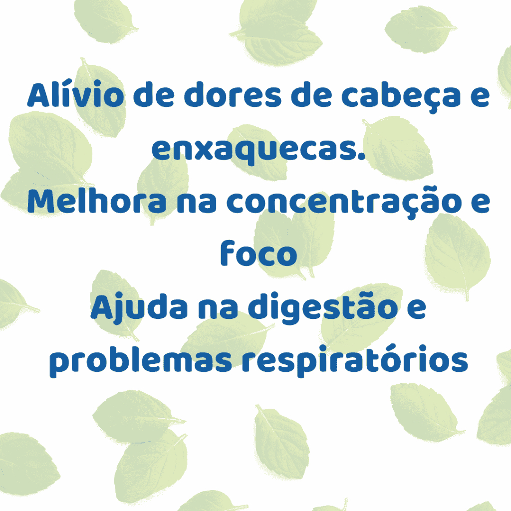 Kit Óleo Essencial Peppermint e Lavanda Florest Brasil