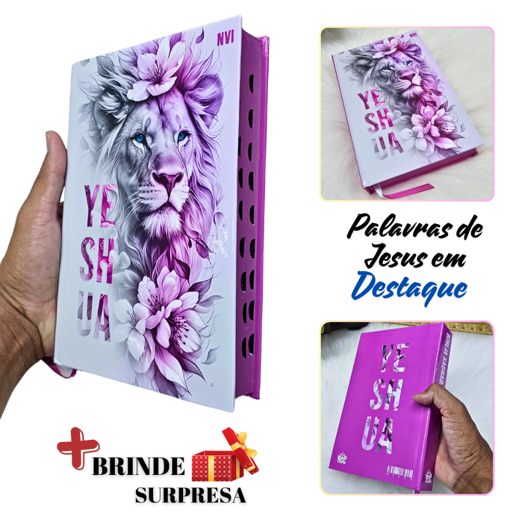 Bíblia Sagrada Velho Testamento: Onde Comprar | BuscaProdutos