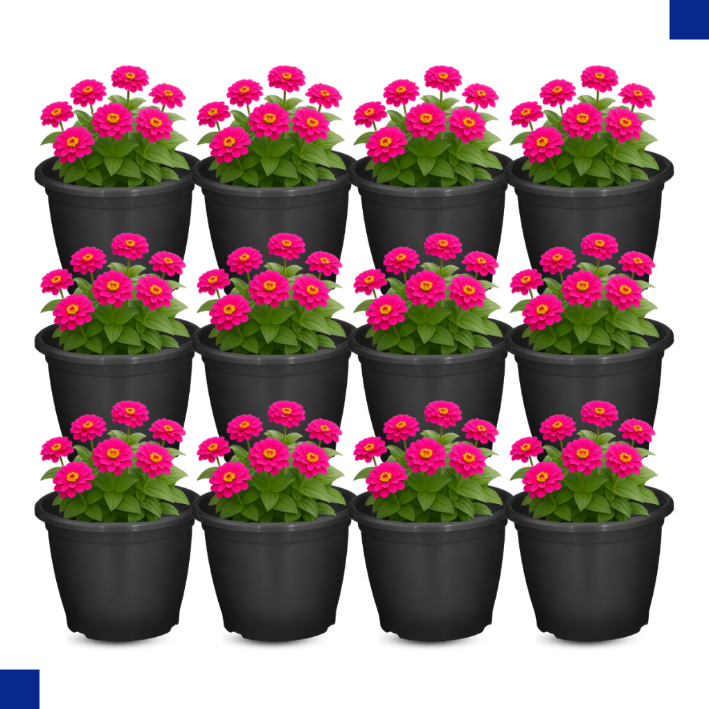 Kit 12 Vasos Pote Modelo 25 Plástico Reciclado Preto 5,5L  x24,5cm Resistente para Floriculturas em Oferta na Shopee