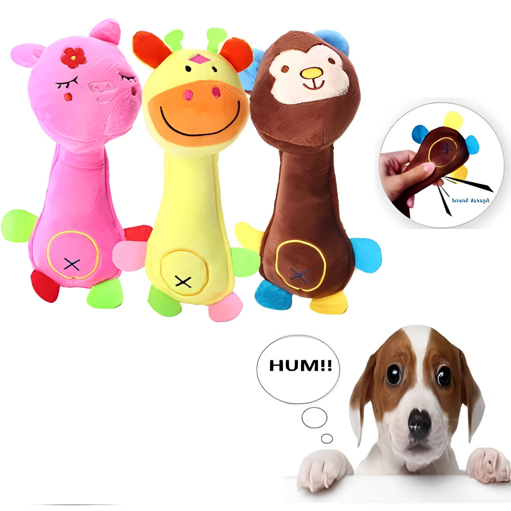 Brinquedos para Spitz: Onde Comprar | BuscaProdutos