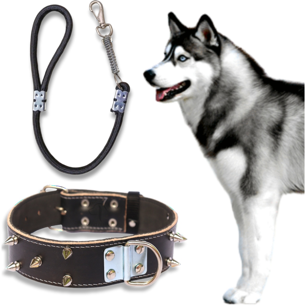 Coleira Couro Reforçada Spikes + Guia Mola | Cães de Médio e Grande Porte em Oferta na Shopee