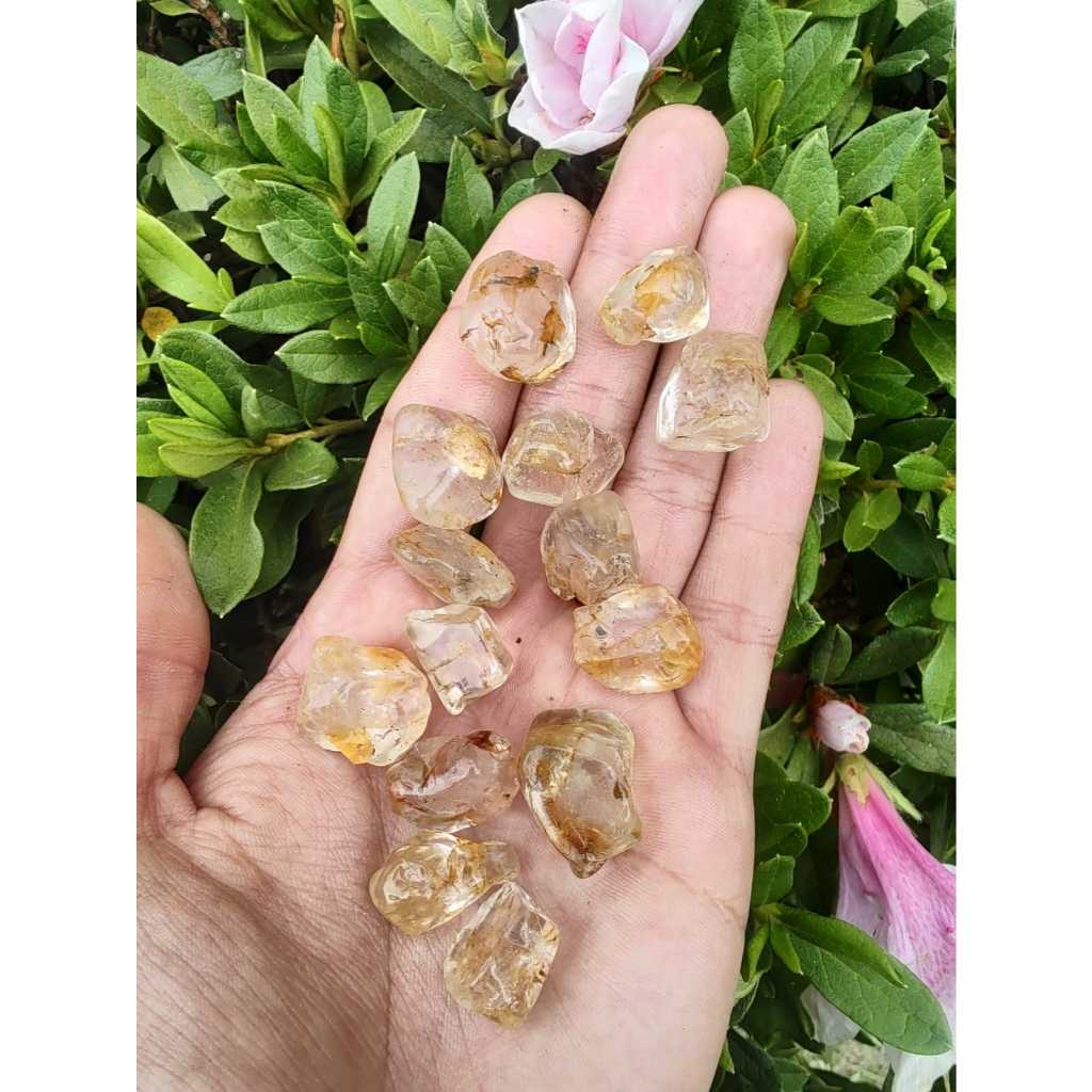 Topázio Amarelo naturais, peças de 01 cm a 02 cm ,Pesos de 5 Gr a 10 Gr. Raros