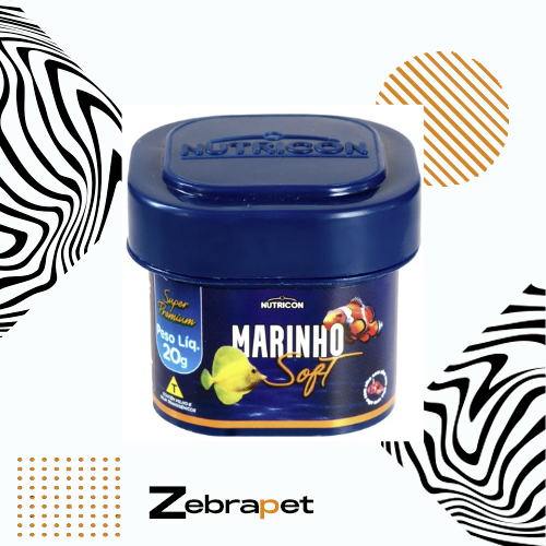 Peixes Aquário Marinho Nano: Onde Comprar | BuscaProdutos