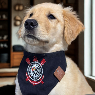 Bandana pet time futebol – vários escudos bordados – cães e gatos – P M G GG e XG em Oferta na Shopee