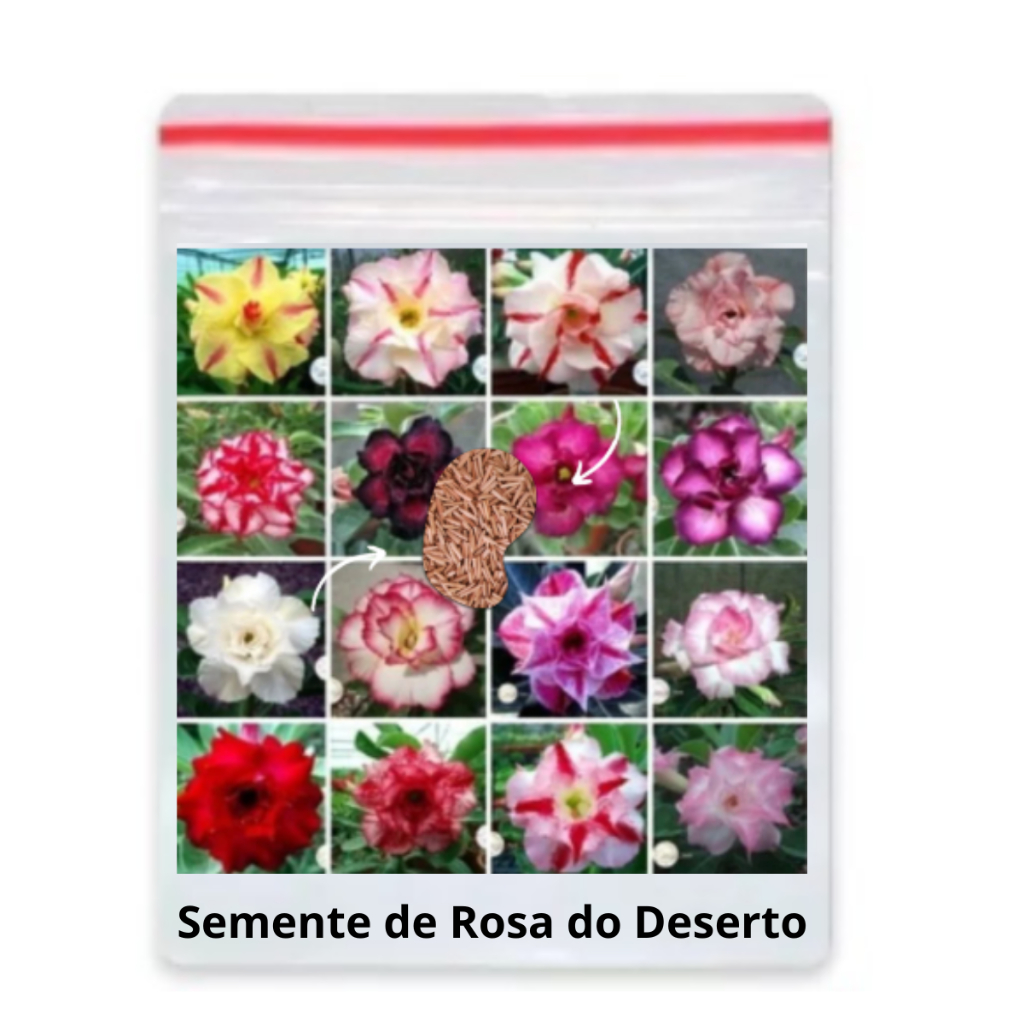 20 Sementes Rosa Do Deserto Cores Variadas Dobrada/tripla em Oferta na Shopee