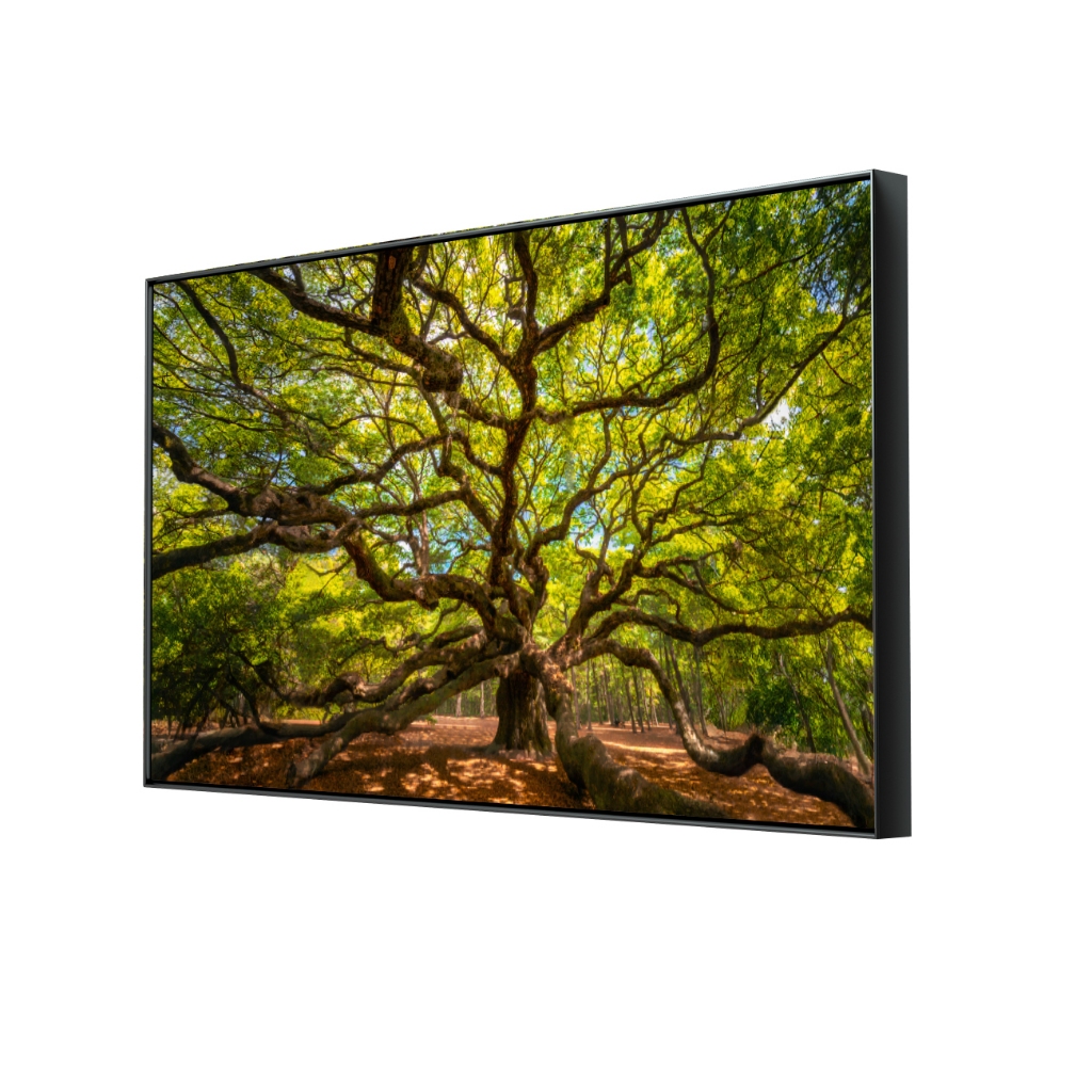 Quadro Decorativo Para Sala Com Moldura Grande Árvore da Vida Folhagem