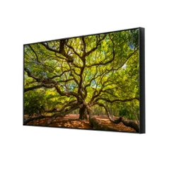 Quadro Decorativo Para Sala Com Moldura Grande Árvore da Vida Folhagem