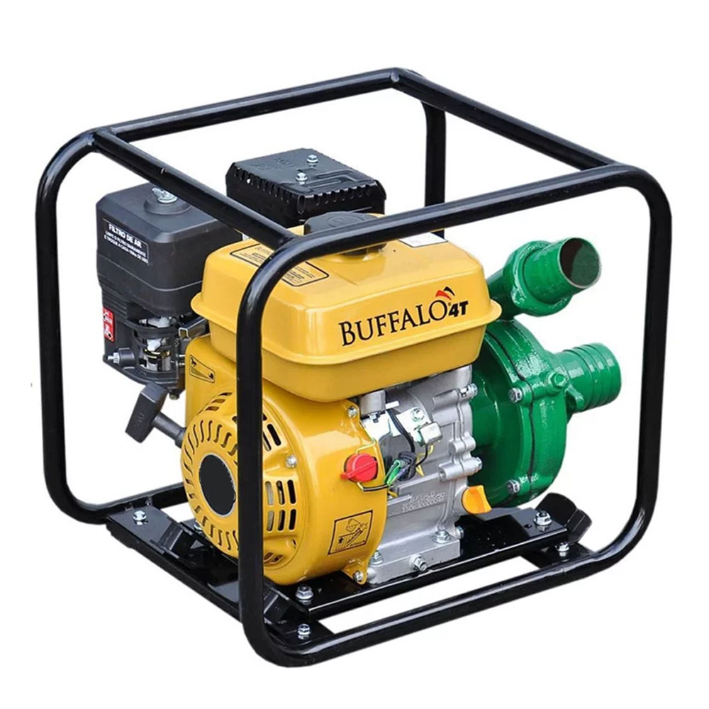 Motobomba Gasolina Centrífuga 2.1/2X2'' 7cv Partida Manual Buffalo em Oferta na Shopee