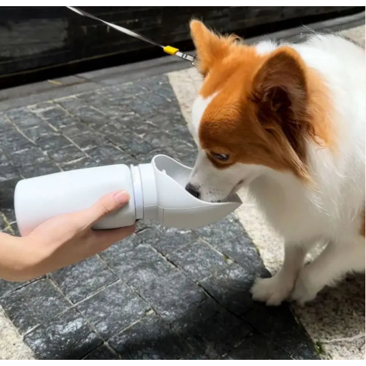 Bebedouro Garrafinha Portátil Pets Silicone Dobrável Cachorro Gato Compacto Passeio Viagens