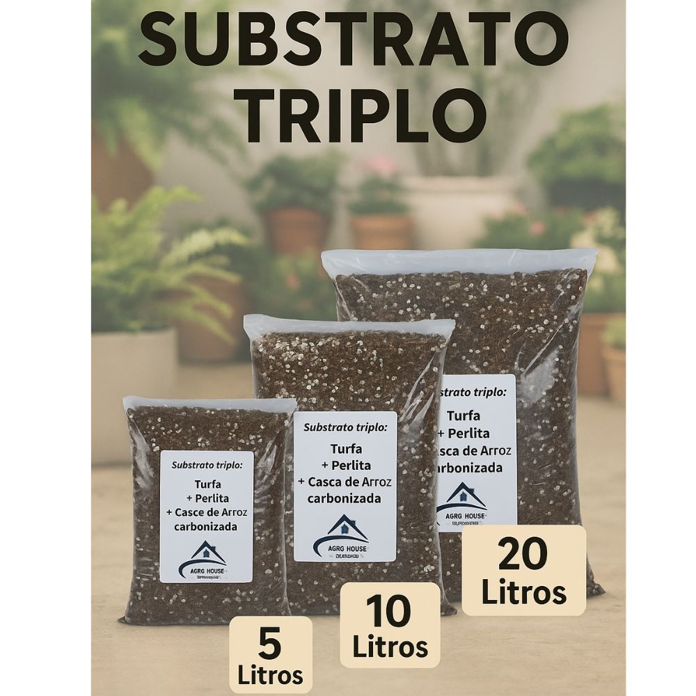 Arroz Pronto: Guia Completo e Onde Comprar | BuscaProdutos