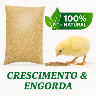 Ração Premium para Pintinhos 1kg – Crescimento Rápido e Saudável em Oferta na Shopee